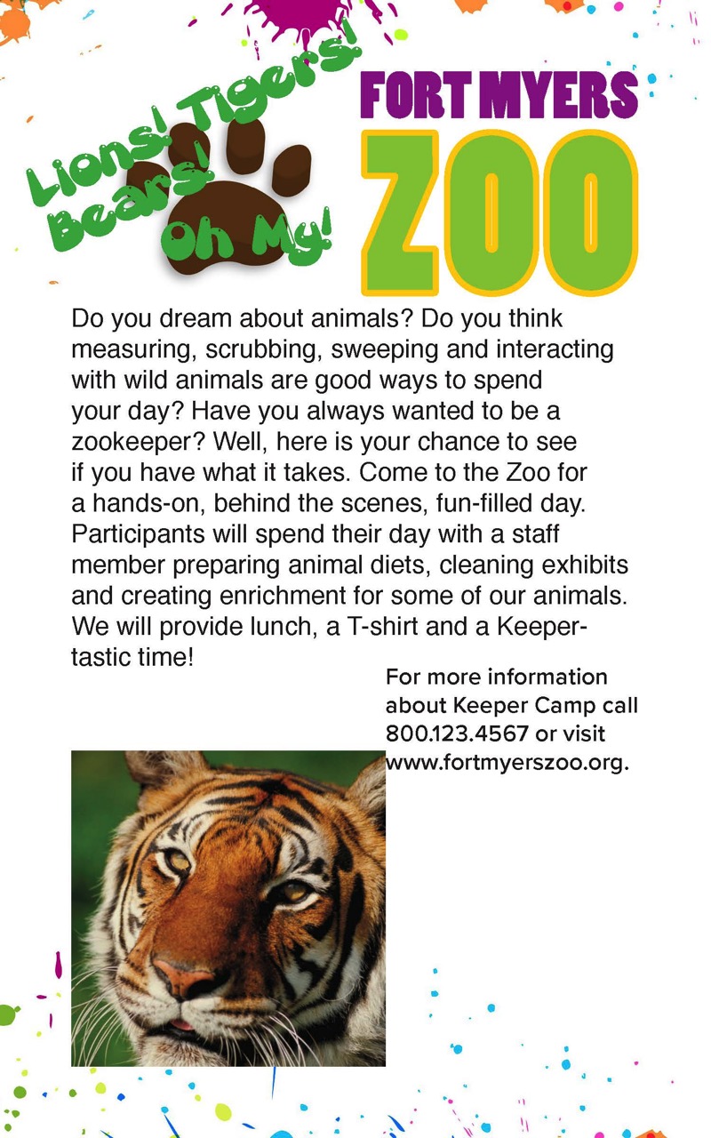 Zoo Brochure
